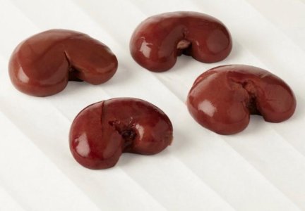 Goat Kidney