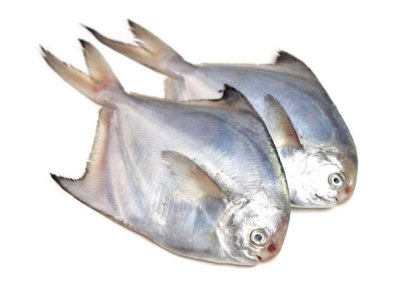 Silver Pomfret Whole