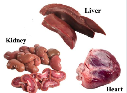 Goat Organs Combo Pack